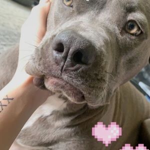 Meet your Posher, Hailey